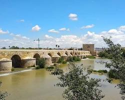 vista completa puente romano de cordoba, generada por IA